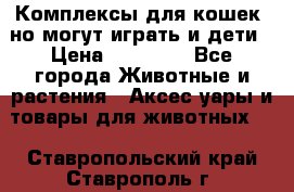 Комплексы для кошек, но могут играть и дети › Цена ­ 11 900 - Все города Животные и растения » Аксесcуары и товары для животных   . Ставропольский край,Ставрополь г.